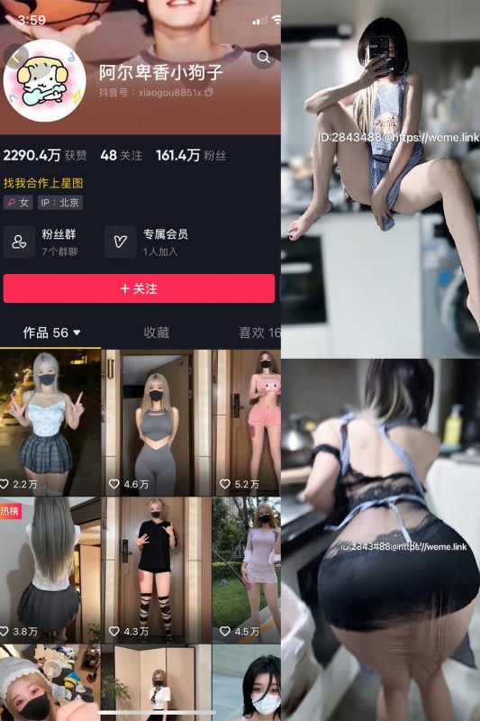 抖音 阿尔卑香小狗子 微密圈  NO.005期 【13P】-喵领域