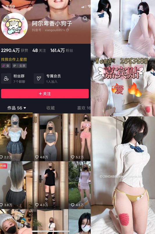 抖音 阿尔卑香小狗子 微密圈  NO.006期 【14P】-喵领域