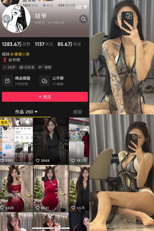 抖音 丝爷 微密圈 NO.003期 【52P4V】最新至：2024.12.13-喵领域