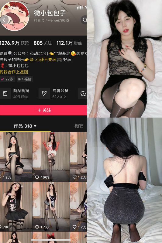 抖音 微小包包子 微密圈  NO.006期 【40P5V】最新至：2024.11.24-喵领域