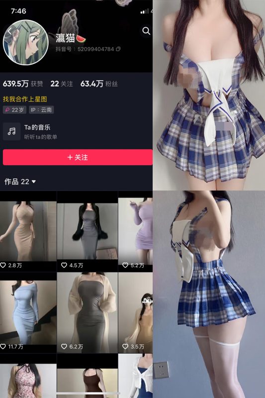 抖音 瀛猫 微密圈  NO.035期 【29P1V】-喵领域