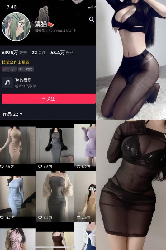 抖音 瀛猫 微密圈  NO.036期 【24P2V】最新至：2024.3.7-喵领域